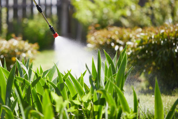 24/7 Emergency Mosquito Control experts in McLoud, OK