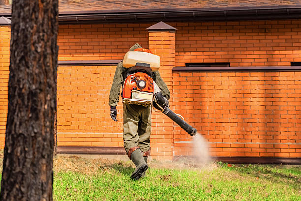 Top rated local Mosquito Control specialists in McLoud, OK